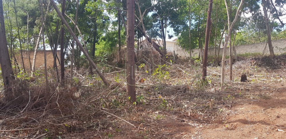 Terreno Jardim Das Acacias São Leopoldo